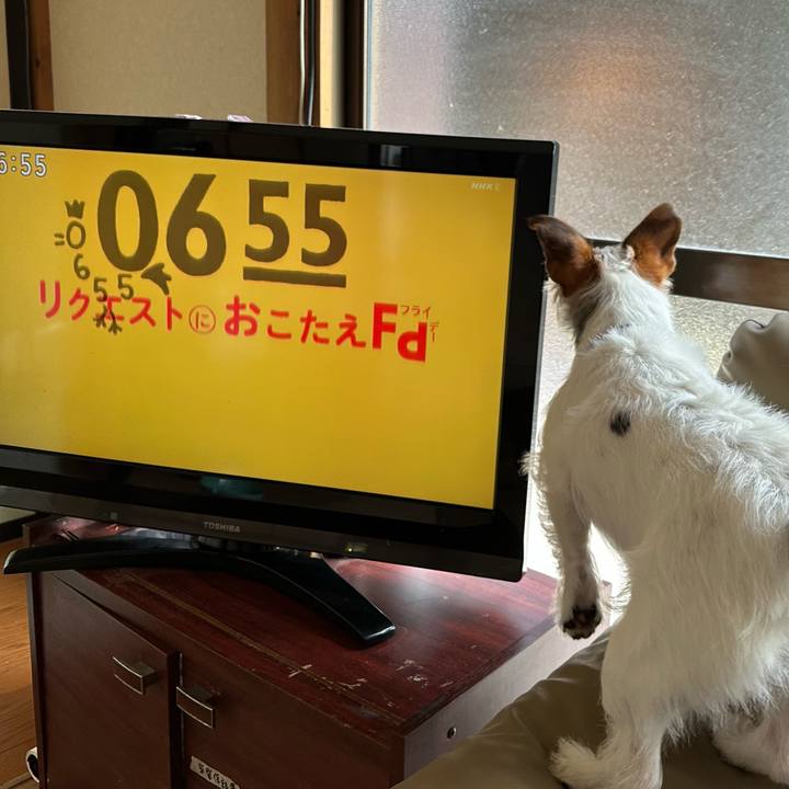 Ab732626 03fb 41dd 8c7c 90259170f7ce 1781215070645