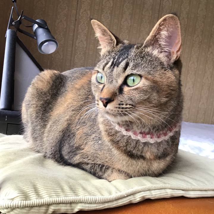 Ab733c4d 7fb2 438b 80ad f5a783cf10eb 1654421471608