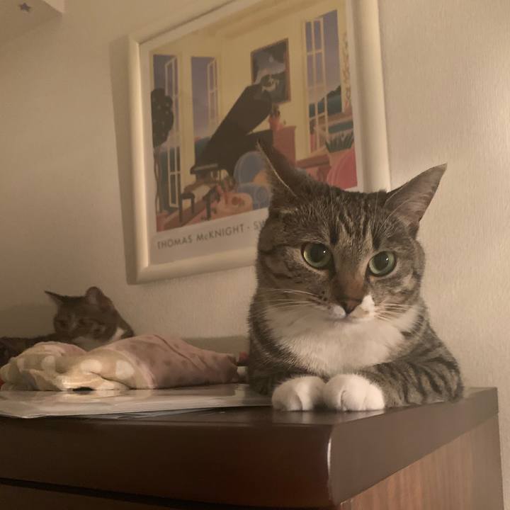 Ab73427d e6b5 46f1 a927 7fb02560441c 1568036887699