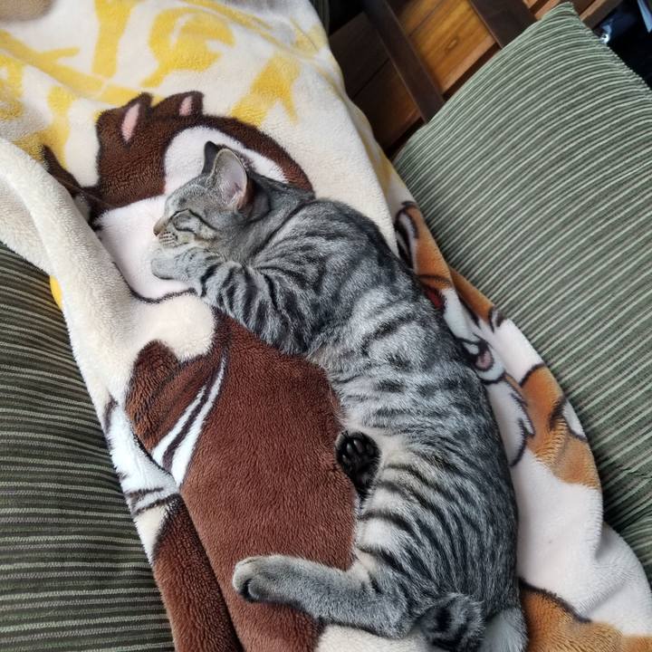 Ab73b4f7 40c9 4444 9dc3 73ed9bd490e9 1673619717806