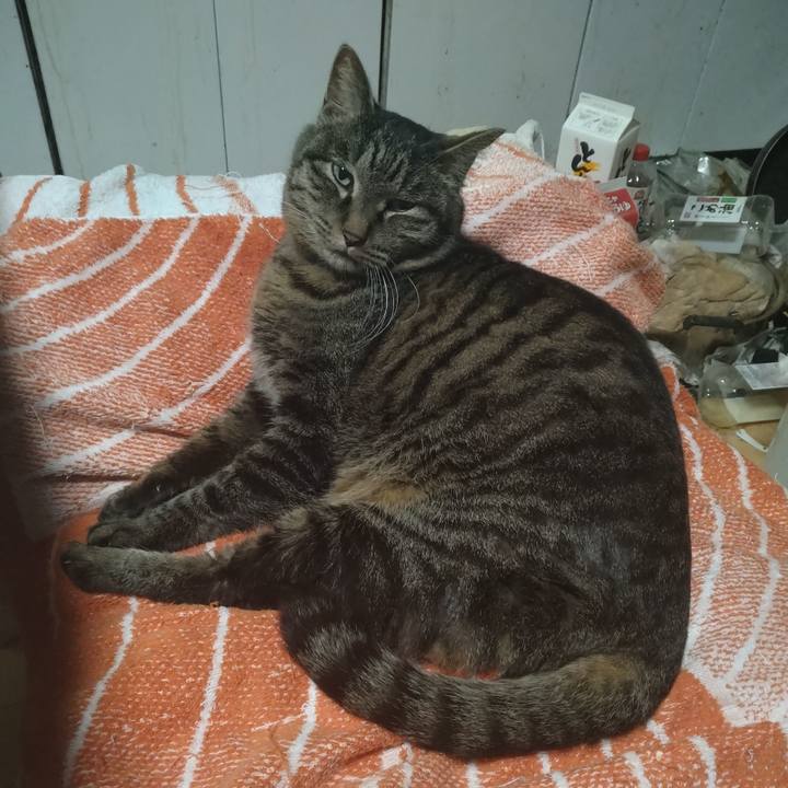 Ab73e94d 43a4 46f1 b0d5 3ecadaf46d4e 1739877864079