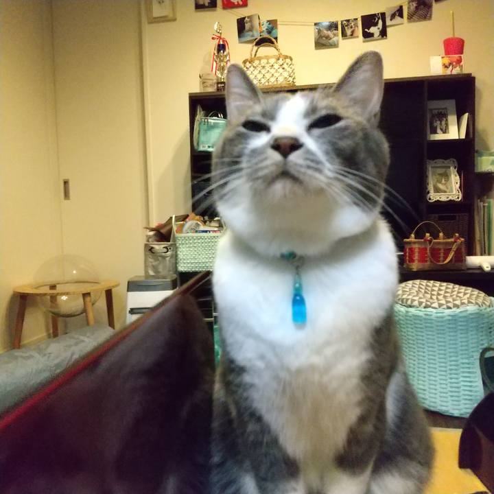 Ab73fffe 1a70 479d 8121 f3782bc4f7b9 1634558780532