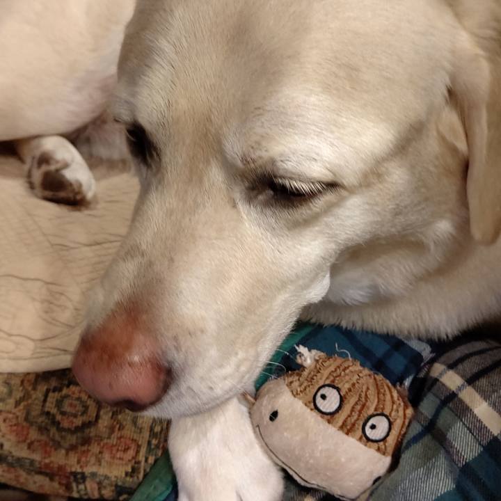 Ab743b4f aa15 459e 954c 8dccc20ef0db 1662549347797