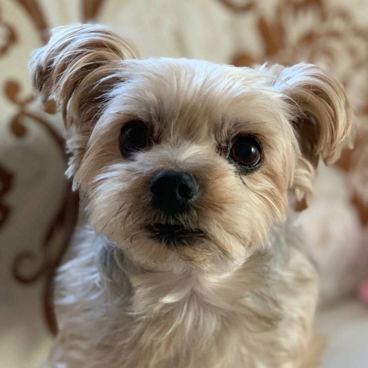 Ab746a3e fb78 4d2f 9c26 6b3db9346bd6 1538983555374