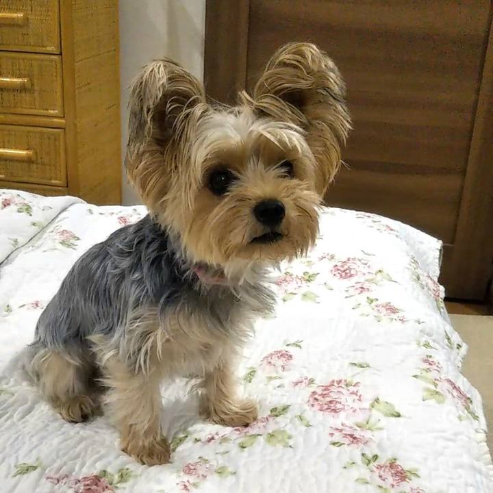 Ab74831d 816f 42a8 82e5 0540962cc514 1602157341665