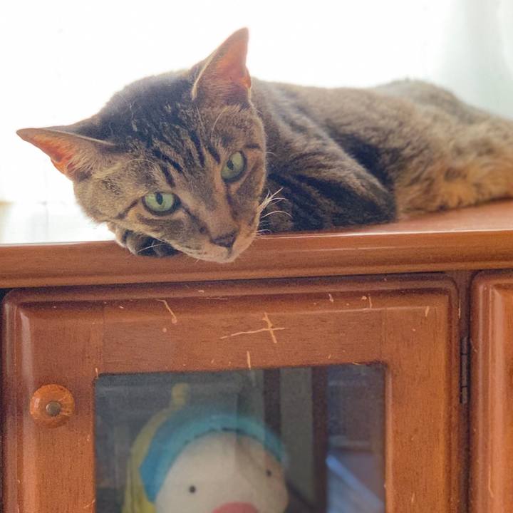 Ab74846f a4a3 40ec 93e7 938b31900e4a 1568163873230