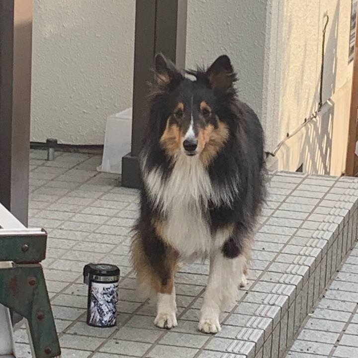 Ab74884c 26ec 4dc2 91bd e19a574be43b 1555969481312