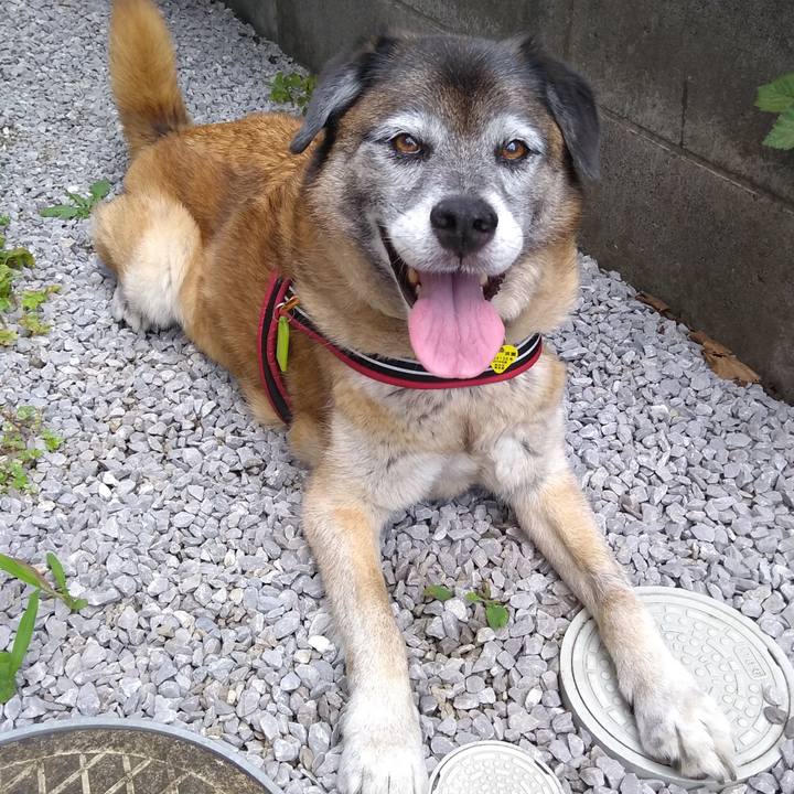 Ab74a2cd ef25 424d bda6 20eff3df0820 1564358307076