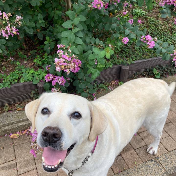 Ab74b29f fd72 4dd6 bf8d 949aa6e239e5 1726472354738