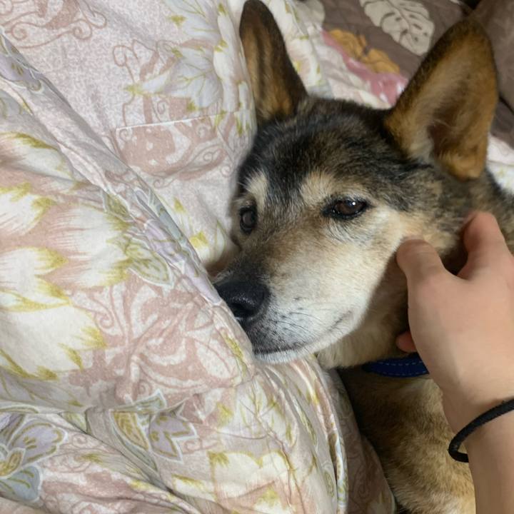 Ab74ef95 8a33 4eea aead 11d8e629b6cf 1577974432752