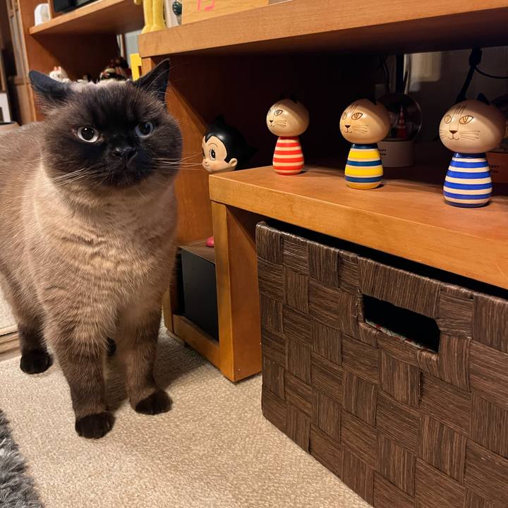 Ab74f3c4 1ef8 480e bbad 52bece144682 1710032752101