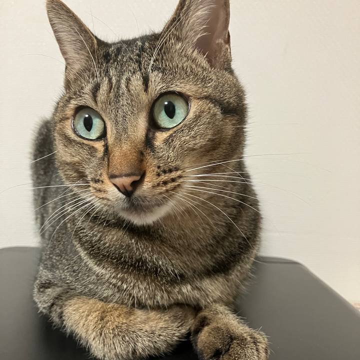 Ab74fb4a 77ac 4c02 aaf2 b267510ddc89 1759278853416