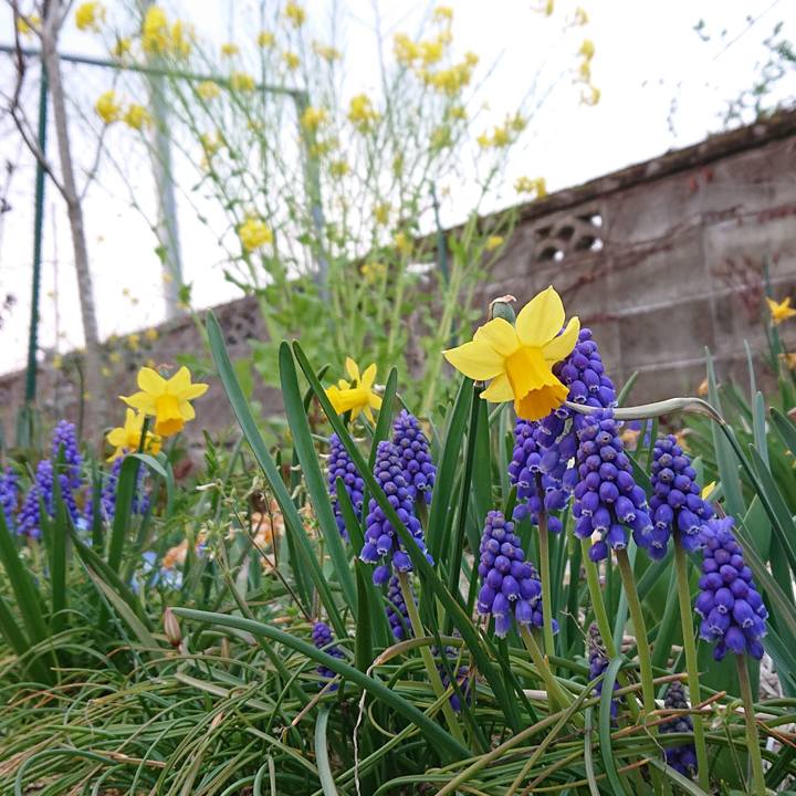 Ab74fb9b 6c29 4fdc be60 157a3df231a2 1615823835811