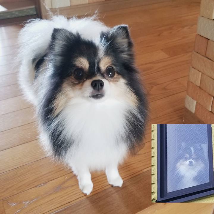 Ab74fd55 c43b 4e6c 8525 f2df58df93f4 1536707838344