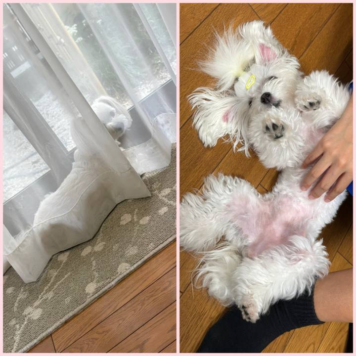 Ab754057 30ac 407f 9142 019fc146fb87 1758104713413