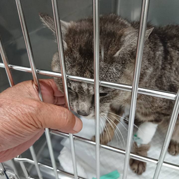 Ab75532b 3ca5 41f7 adfd 007d8eacd3b8 1595324839781