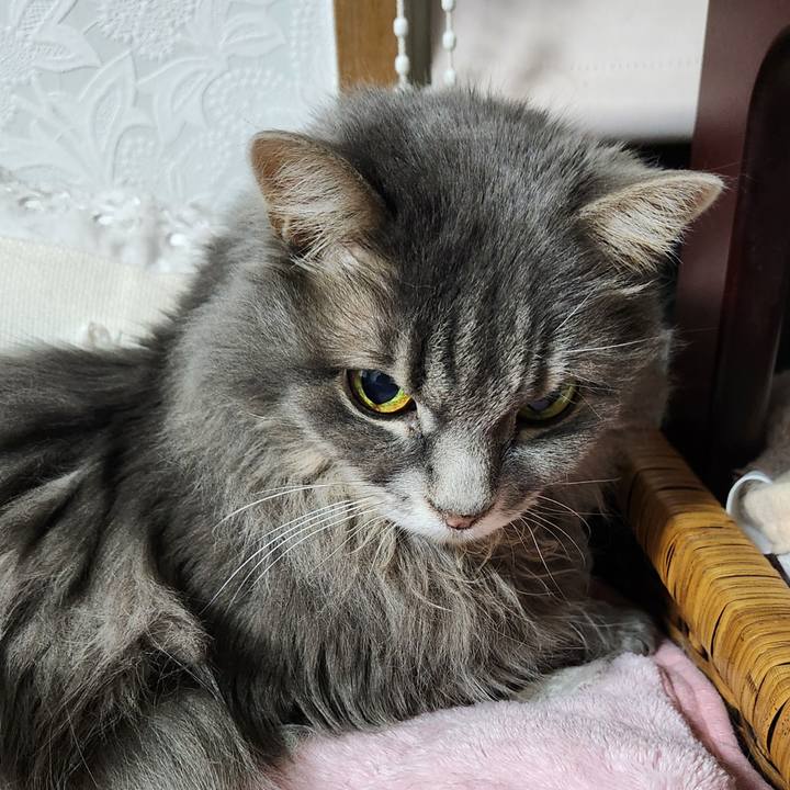 Ab75875c 34be 4c27 8d27 876a082e7b2e 1734785766810