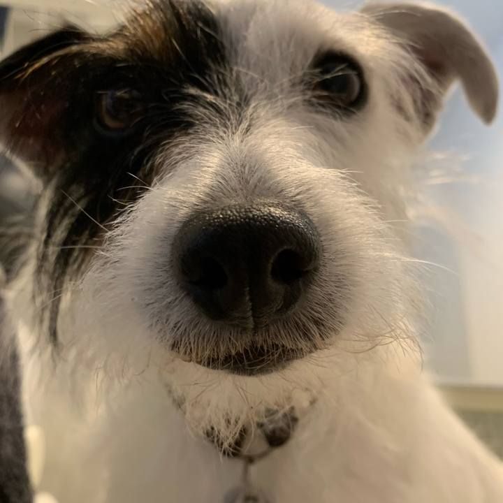 Ab758777 0a61 4067 a3ec bd59be01a4f3 1623977491186