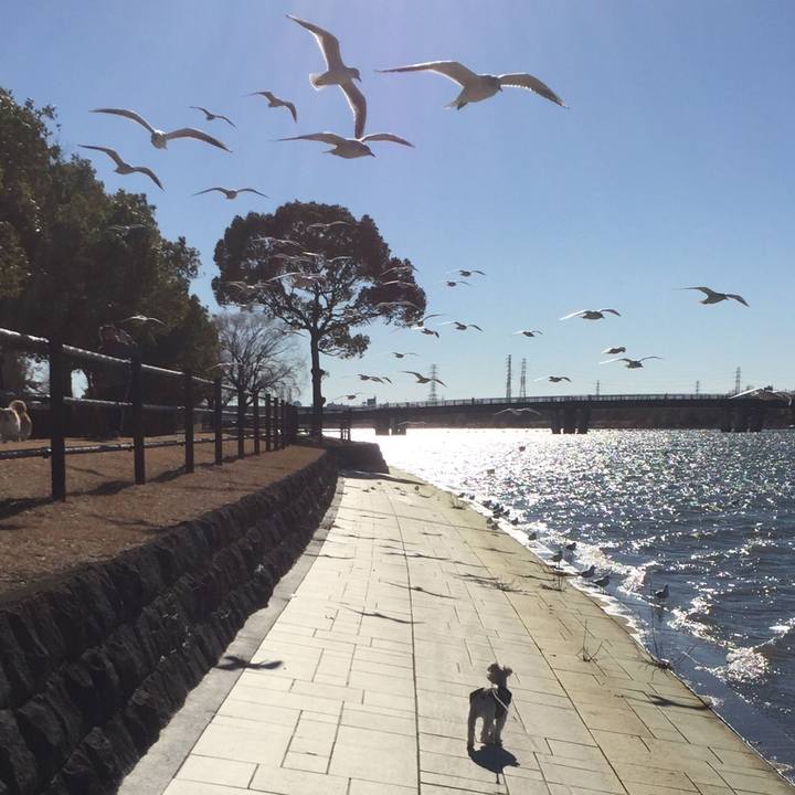 Ab758ca7 d91d 424e 8cd1 66de907a6ce0 1514790128714