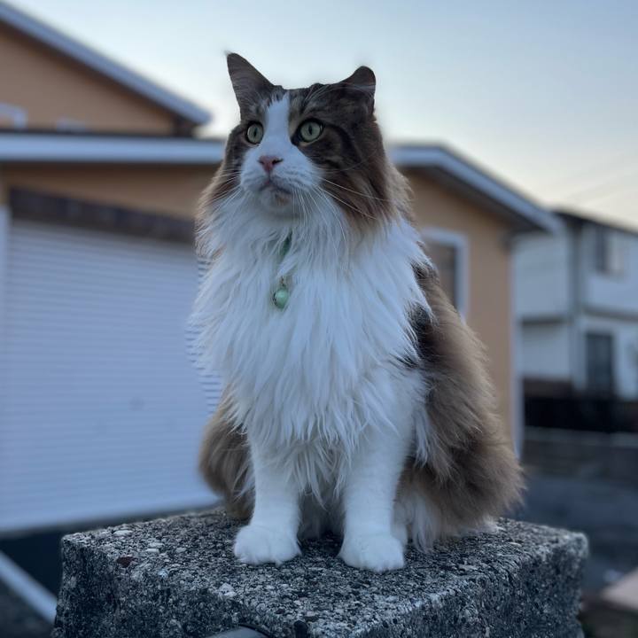 Ab75a9c9 2422 4bf9 b13a 979de78490a9 1743801078318