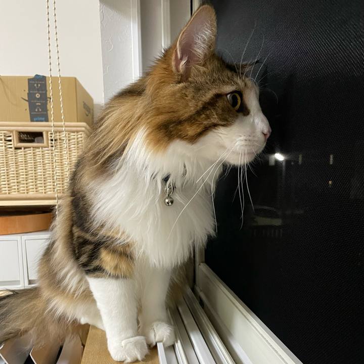 Ab75d717 7b0d 4a7f b3dc a6b077a57a5f 1648555674719