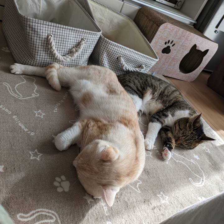 Ab7620ad 8930 42c6 bf5b 3218a20d547f 1701314305033