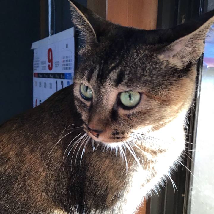 Ab76292a fa4d 4812 bec0 2233607c60b0 1663319875508