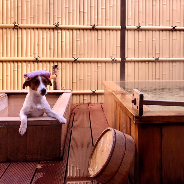 Ab7664b8 206c 4a5c be70 ecf1faf19755 1575111489807