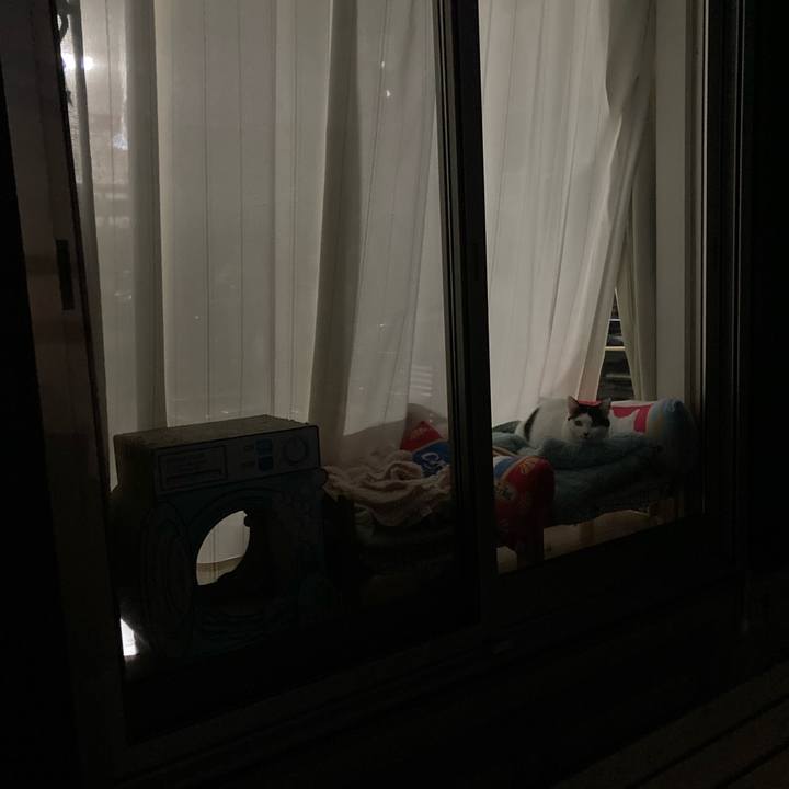 Ab766a26 fc2a 4205 b779 34d8309e1932 1765614843519