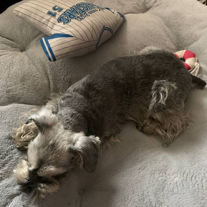 Ab769c71 9392 49f2 98ef ecebb93647c2 1647489561562