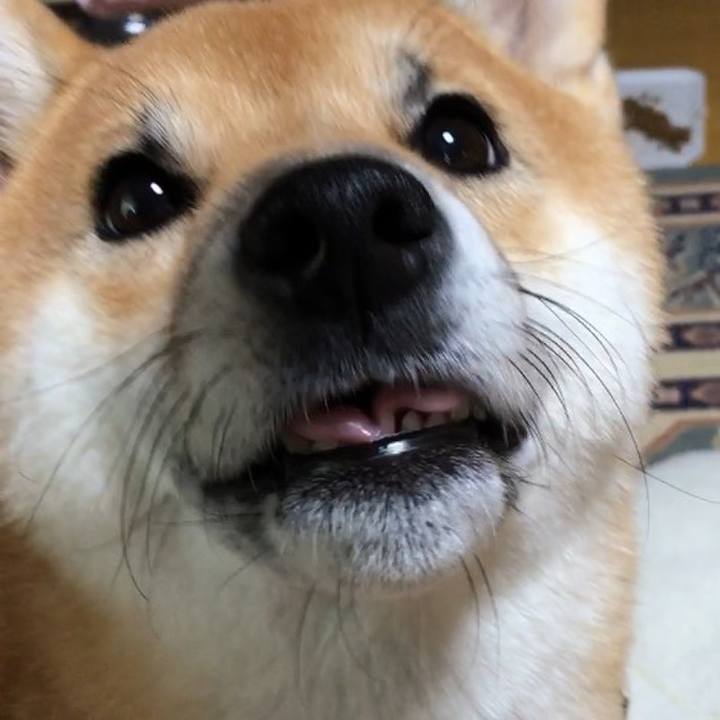 Ab76e273 ccc9 4a3c ada7 28c5e91e5827 1511495726895