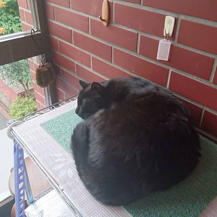 Ab76e4cb adb4 4d3d a8b1 f21bf70a11e8 1534477723276