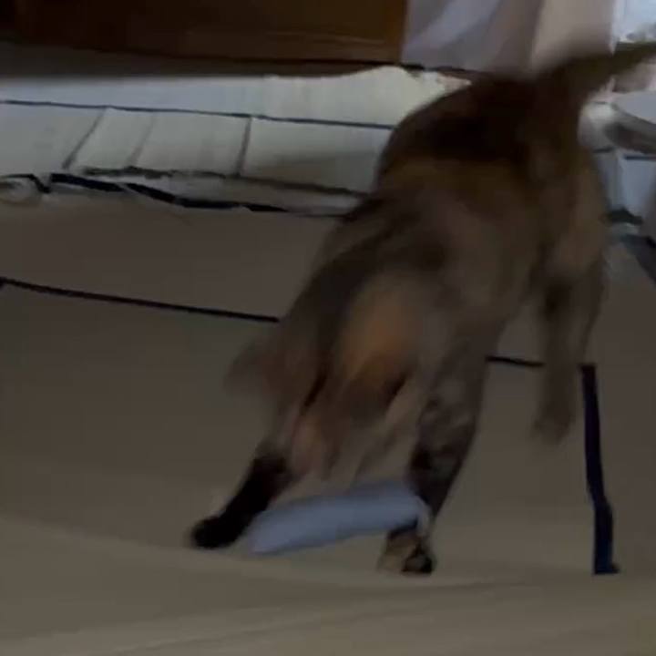 Ab76e54b 8409 4d93 98a9 032dd1f7232d 1771276703460