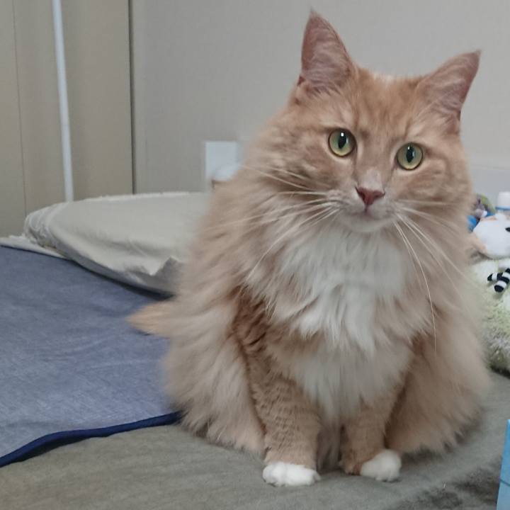 Ab77005d 2339 4b21 81e1 b6cb6ae2061f 1567908674315