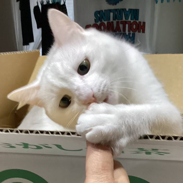 Ab7744dc f54d 4607 ae01 a5cc3cf62ab9 1670701121075