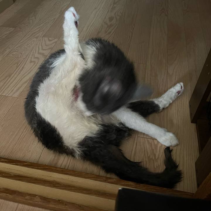 Ab775c43 6234 469a bbb2 8b97a5dc2739 1752381992369