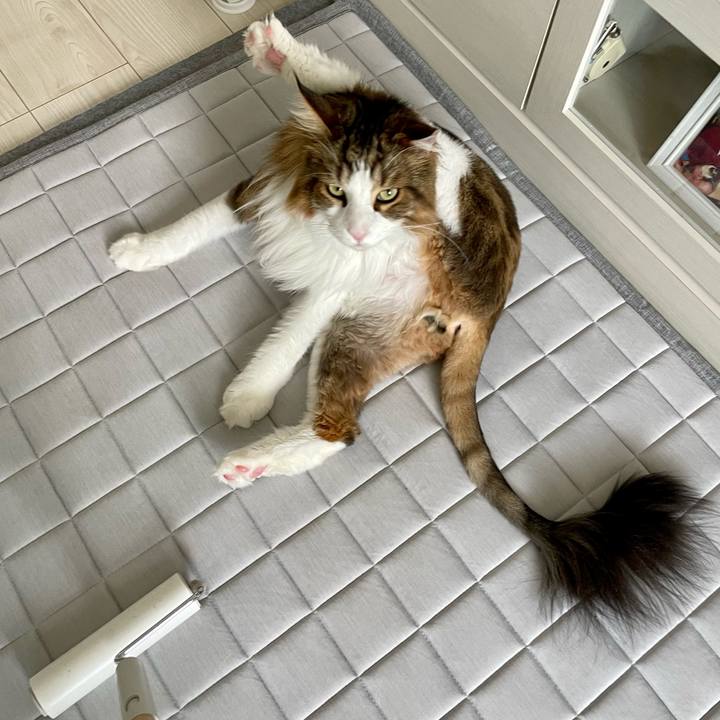 Ab77be55 e8e8 4ef9 8bd6 b82d27b0635b 1690582980655