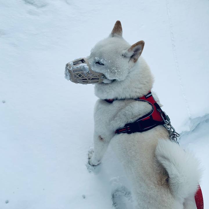 Ab77d8d0 1508 44e3 83e1 67c802dc57e6 1613978100651