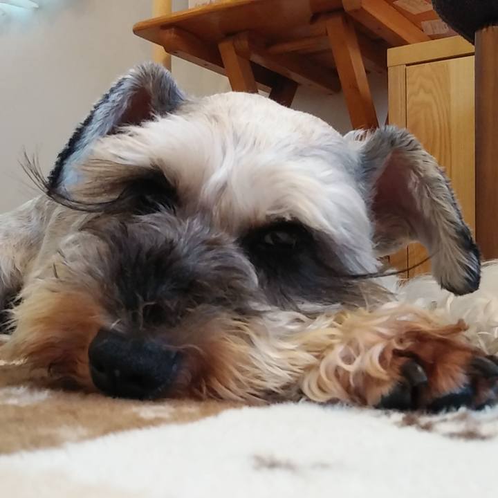 Ab77dc6b 946f 402a 9635 768a2bf69ede 1627703053790