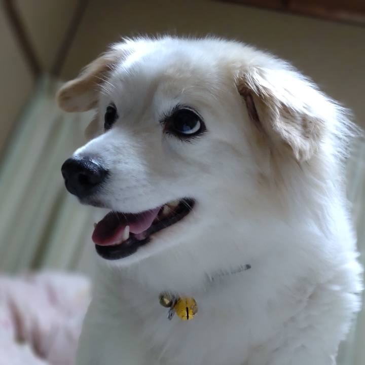 Ab781101 7ef5 4b20 b9a5 17b62740e088 1652884006064