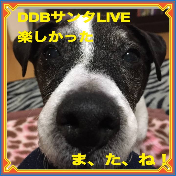 Ab7817e8 037c 4b1d 84c4 cda22f40be81 1577026805434