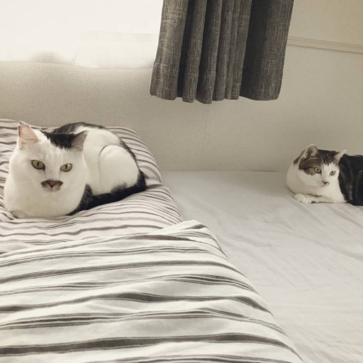 Ab78634e 52db 415a baf9 a37096cd157b 1539152989213