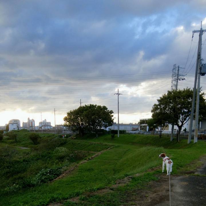 Ab786c9d 78c6 4591 aabc d8bef14e3e5e 1538826048818