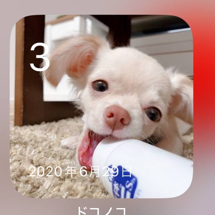 Ab7877f4 6930 426f b47a 24064f04d479 1719997406284