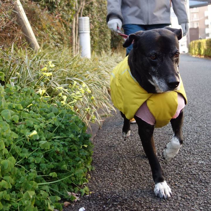 Ab78a738 1067 4589 bc6a b73cce68407e 1740616543076