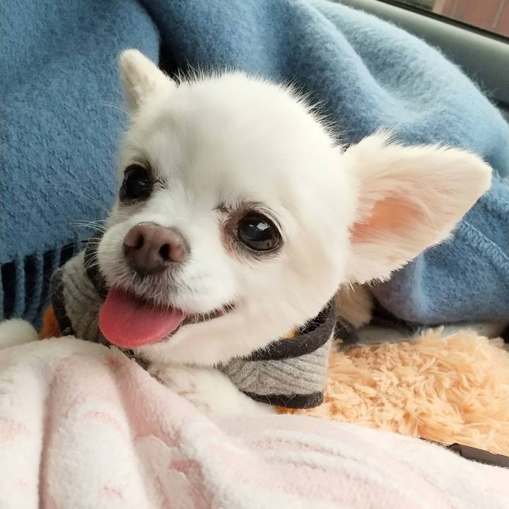 Ab78b854 61a1 4b9b 85ef 8332d484d714 1670324122022