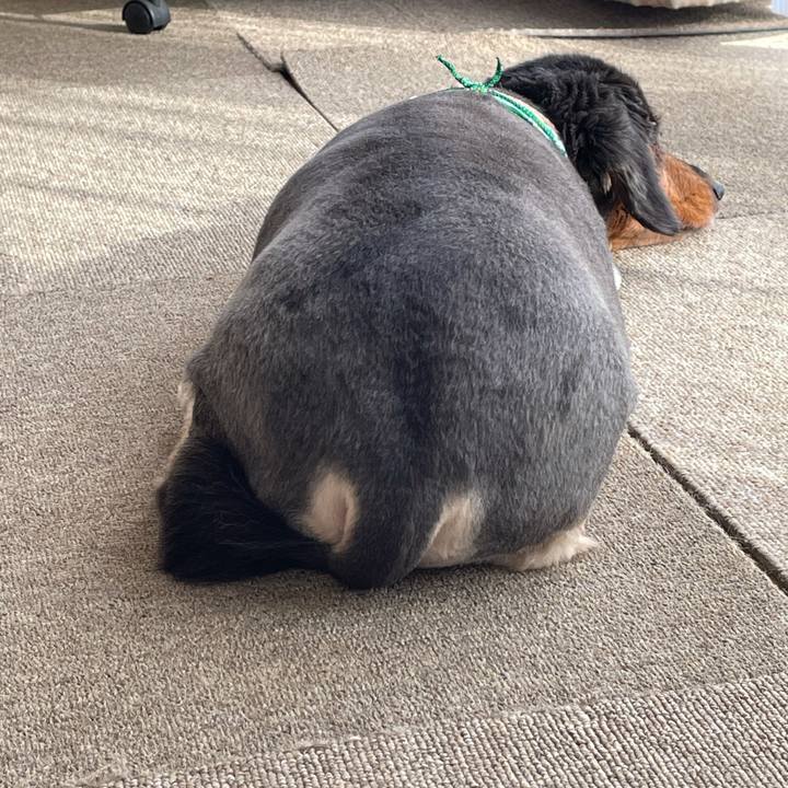 Ab78bff6 f49d 44f9 99ad 9caa524279ec 1624830557815