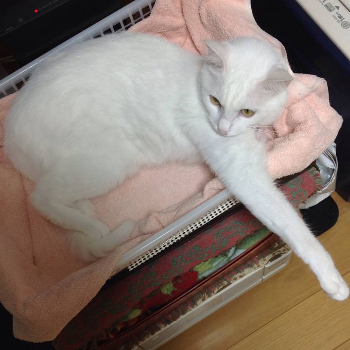 Ab7957c9 ea7c 4030 8877 fe2c3d6dcf8c 1630016538656