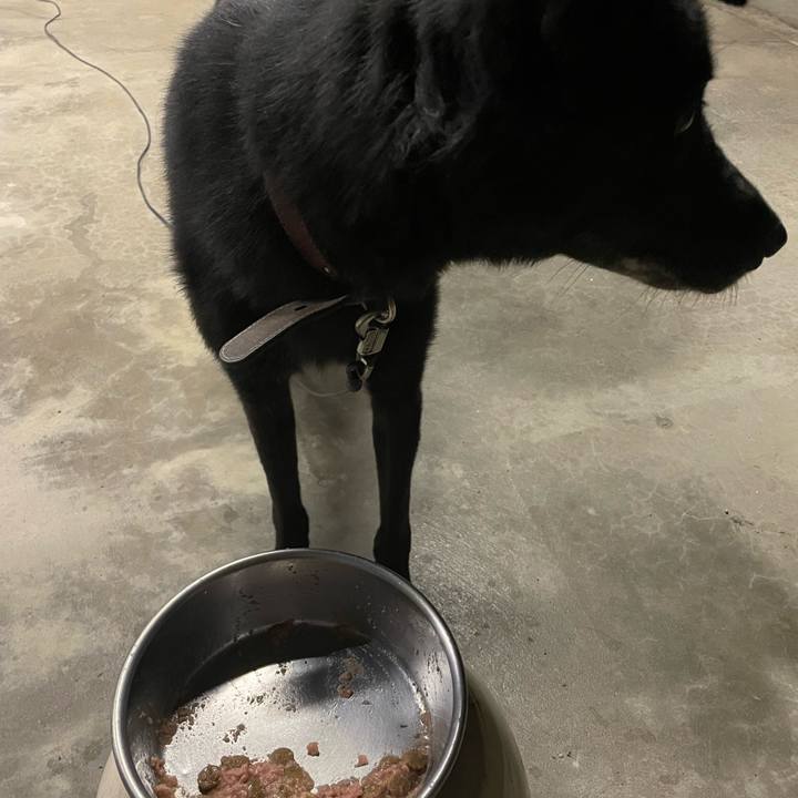 Ab79958b 8f82 45bd a2f1 87d3f0020d46 1658316992031