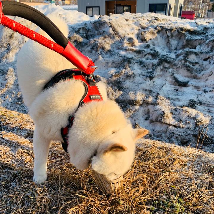 Ab79ca6f b696 45ec b3e6 5a3f5c2c2e9c 1679006733760